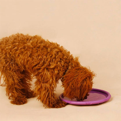 Chien caniche brun reniflant un frisbee chien violet posé au sol