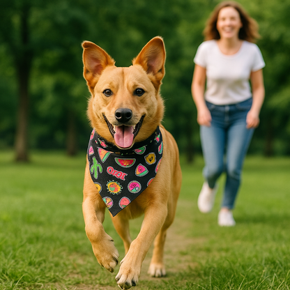 chien marron qui court dehors avec son maitre et son bandana chien