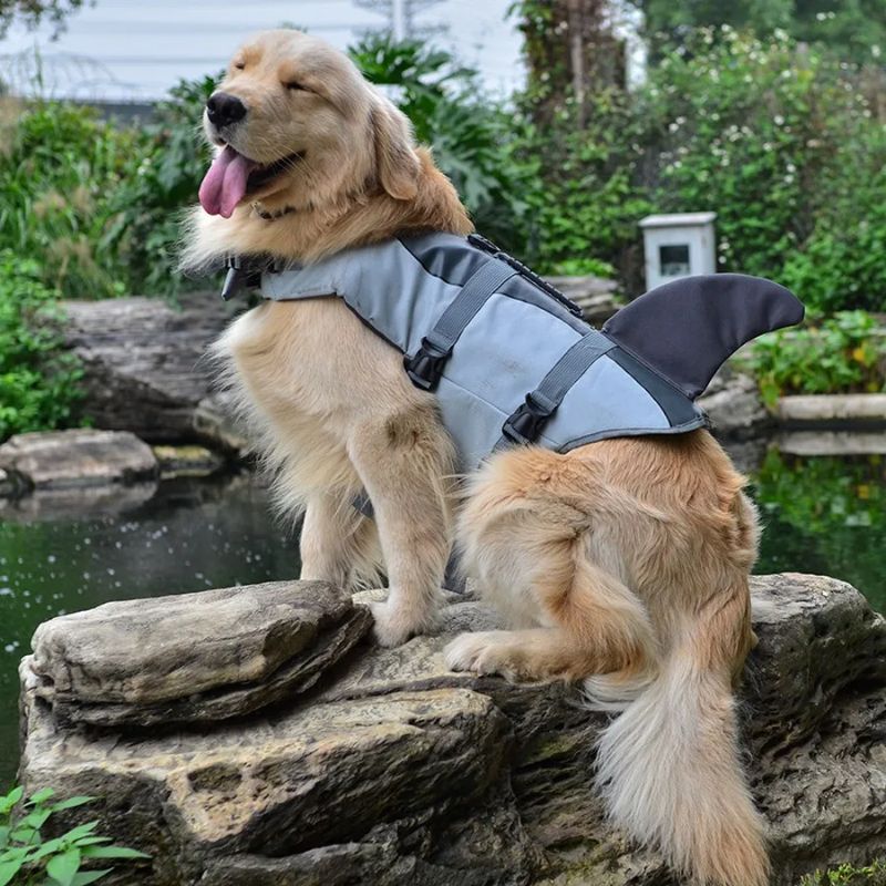 Gilet de sauvetage pour chien | FishJacket - Les Plaisirs Canins
