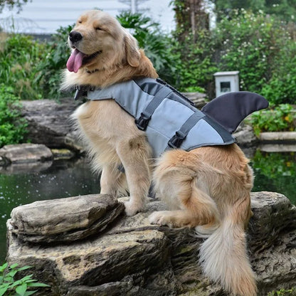 Gilet de sauvetage pour chien | FishJacket - Les Plaisirs Canins