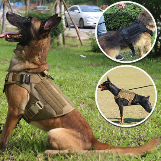 Harnais chien | KalTack - Les Plaisirs Canins