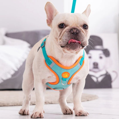 Harnais chien | PupPuppies - Les Plaisirs Canins
