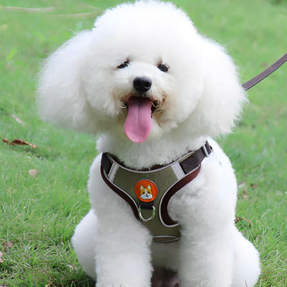 Harnais chien | PupPuppies - Les Plaisirs Canins
