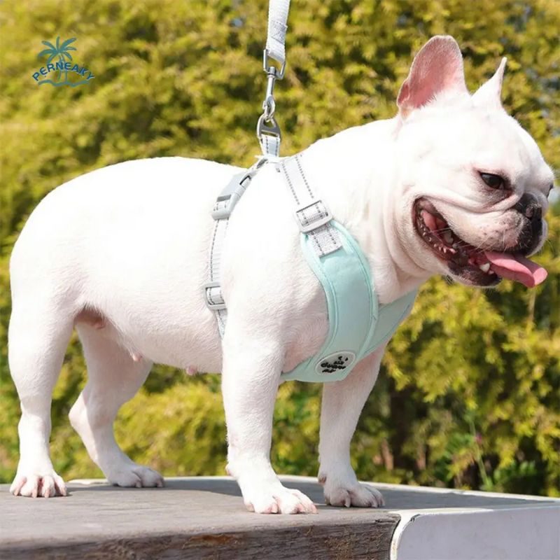 Harnais chiot | PuppyStar - Les Plaisirs Canins
