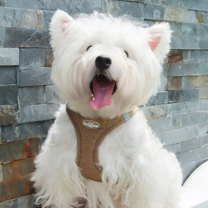 Harnais chiot | Softy - Les Plaisirs Canins
