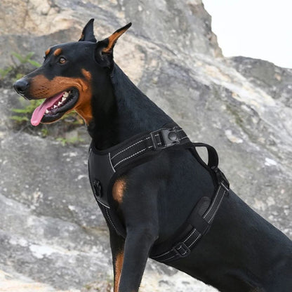 Harnais pour chien | BigDoggy - Les Plaisirs Canins
