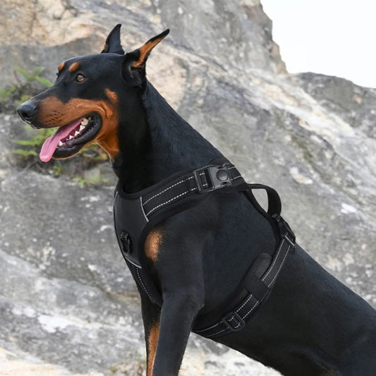 Harnais pour chien | BigDoggy - Les Plaisirs Canins
