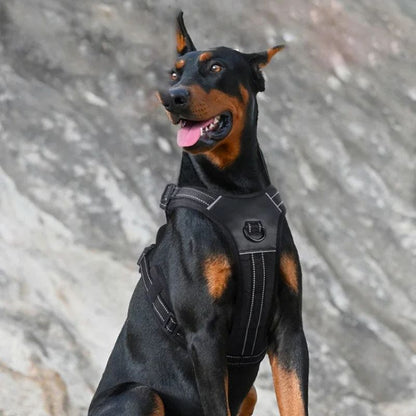 Harnais pour chien | BigDoggy - Les Plaisirs Canins