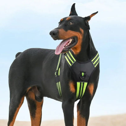 Harnais pour chien | BigDoggy - Les Plaisirs Canins