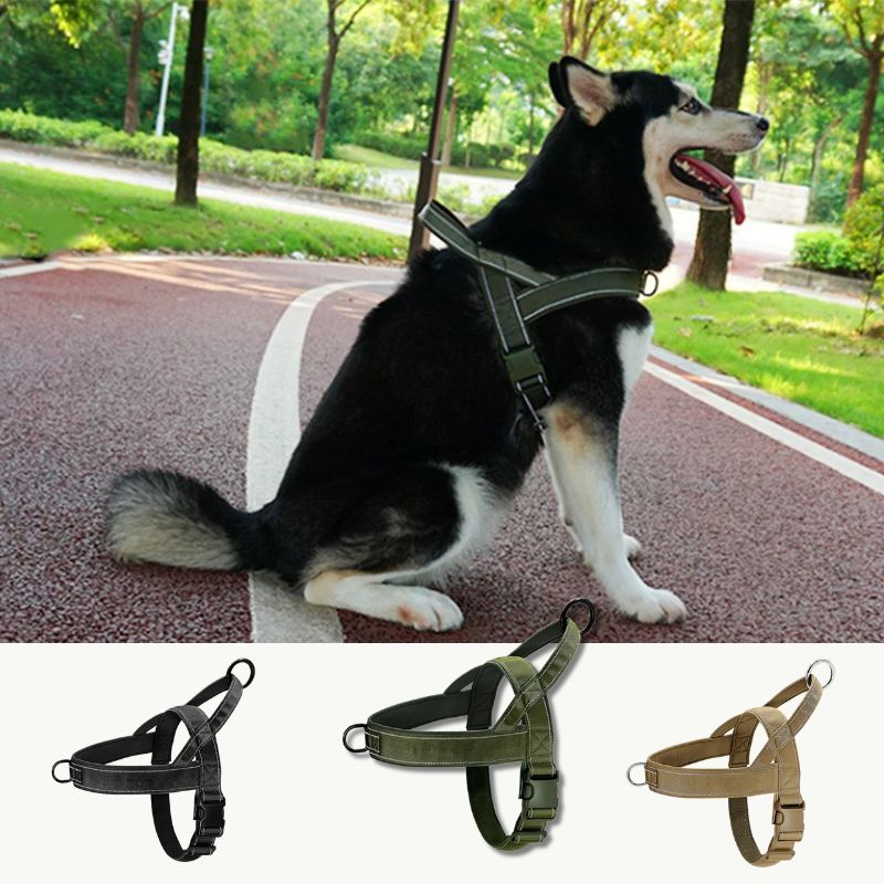 Harnais pour chien | ChestStrap™ - Les Plaisirs Canins