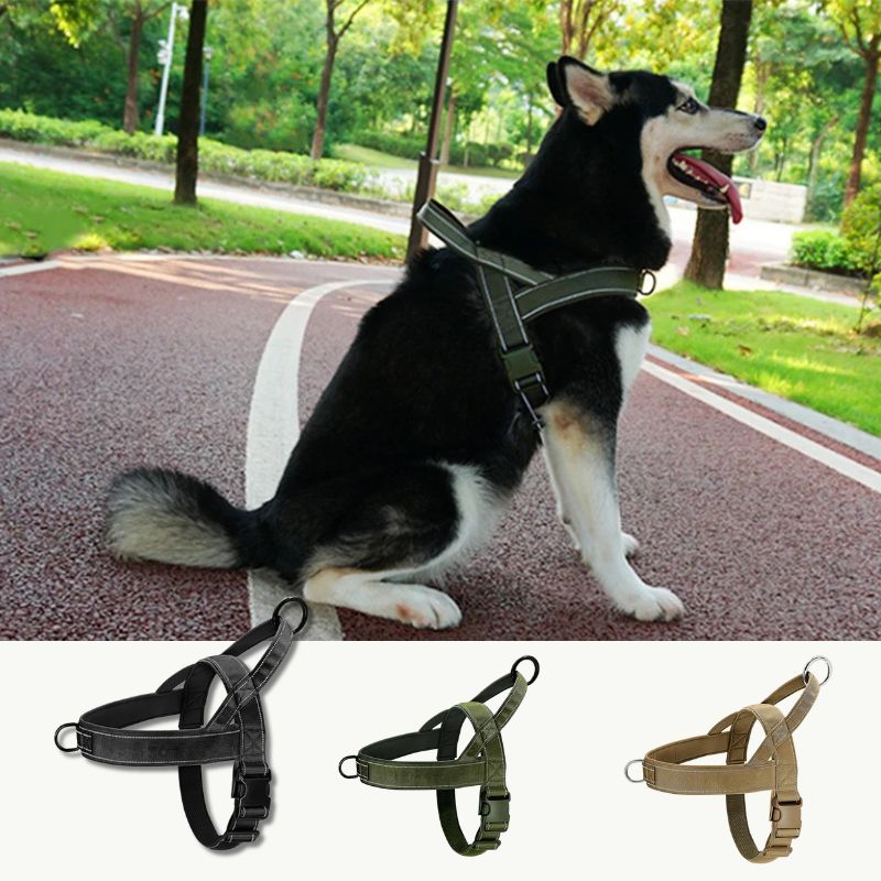 Harnais pour chien | ChestStrap - Les Plaisirs Canins