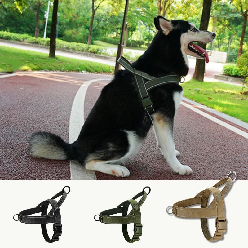 Harnais pour chien | ChestStrap™ - Les Plaisirs Canins