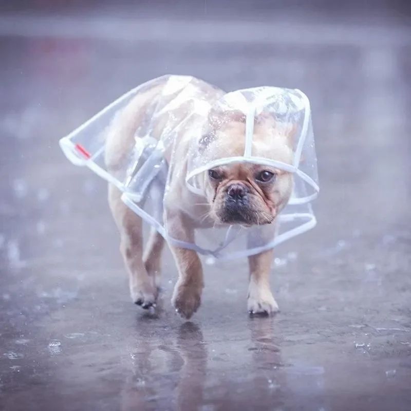 Imperméable chien | Poncho - Les Plaisirs Canins
