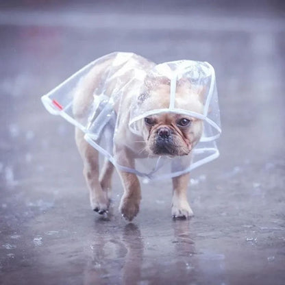 Imperméable chien | Poncho - Les Plaisirs Canins