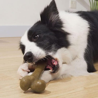 Jouet indestructible pour chien | MasticTonOs - Les Plaisirs Canins