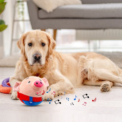 Golden coucher dans son salon avec son jouet pour chien musical