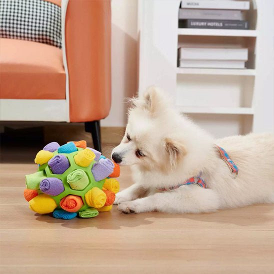 Jouet pour chien | BouleDeFouille - Les Plaisirs Canins