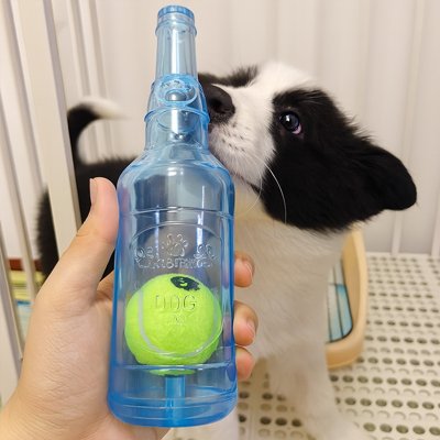 chiot border collie avec son jouet pour chien balle dans une bouteille