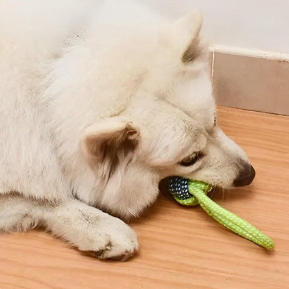 gros chien blanc coucher entrain de mâcher son jouet pour chien
