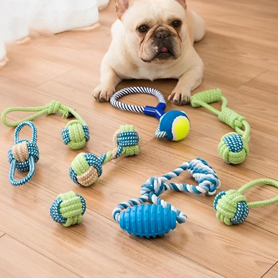Bouledogue français coucher devant jouet pour chien