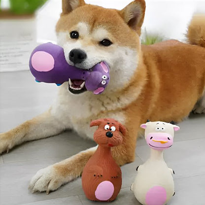 shiba inu coucher avec son jouet pour chien dans la gueule 