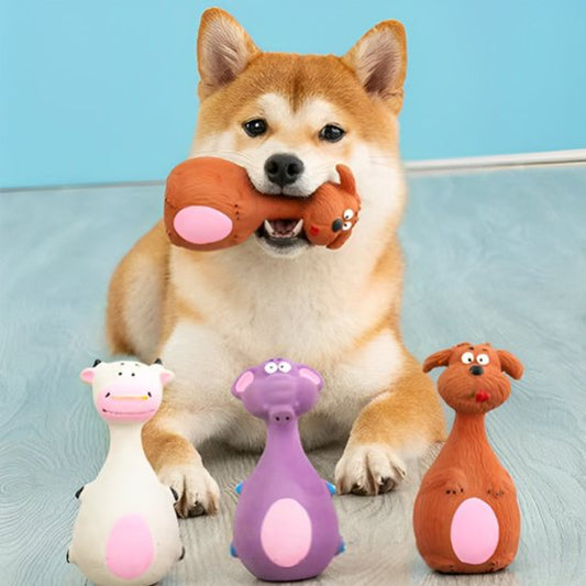 shiba inu coucher avec son jouet pour chien dans la gueule