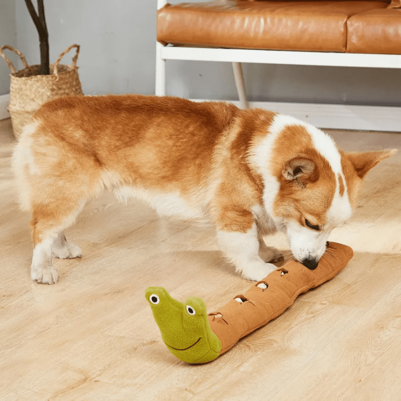 Jouet pour chien | Escargot - Les Plaisirs Canins