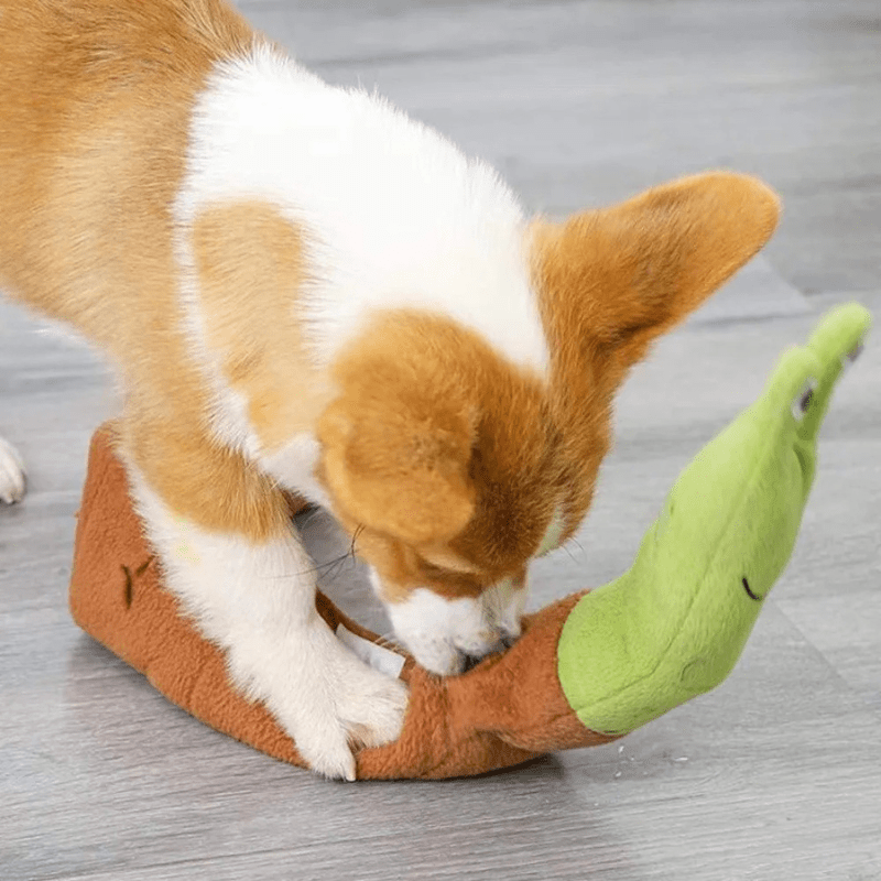 Jouet pour chien | Escargot - Les Plaisirs Canins