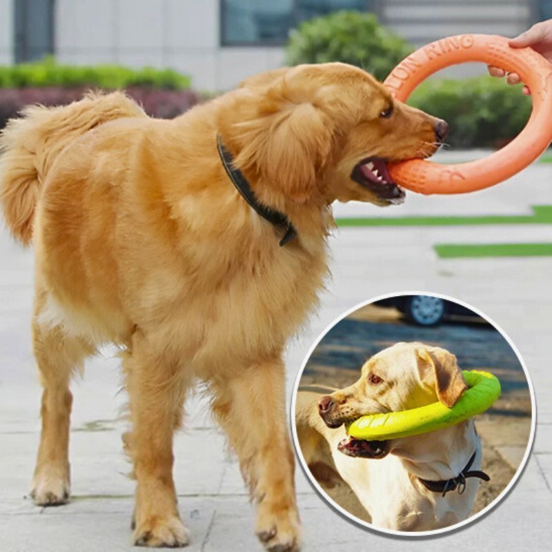 Jouet pour chien indestructible | Anneau - Les Plaisirs Canins