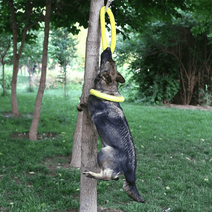 Jouet pour chien indestructible | Anneau - Les Plaisirs Canins