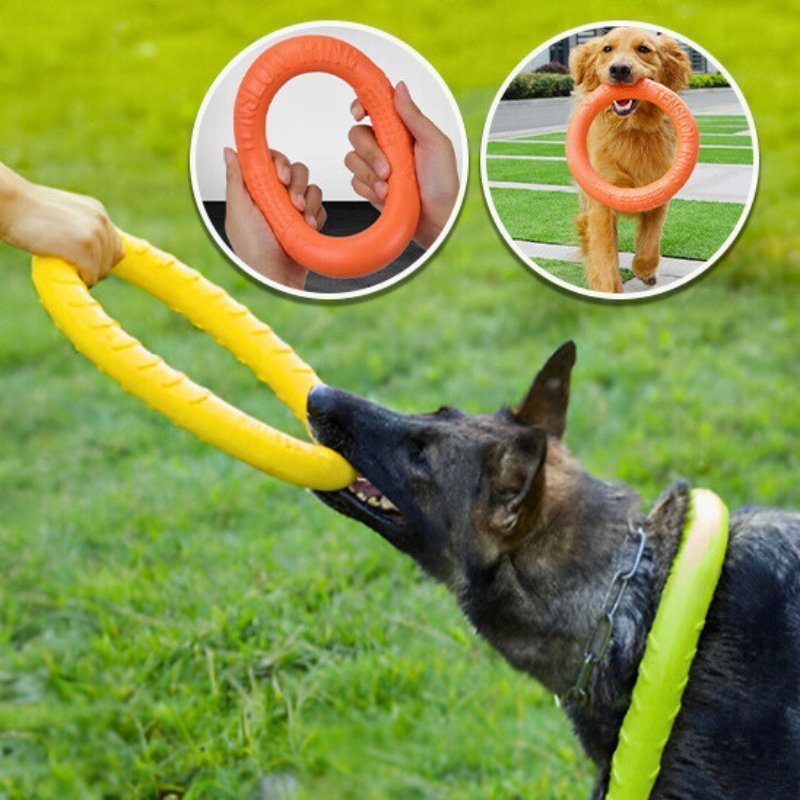 Jouet pour chien indestructible | Anneau - Les Plaisirs Canins