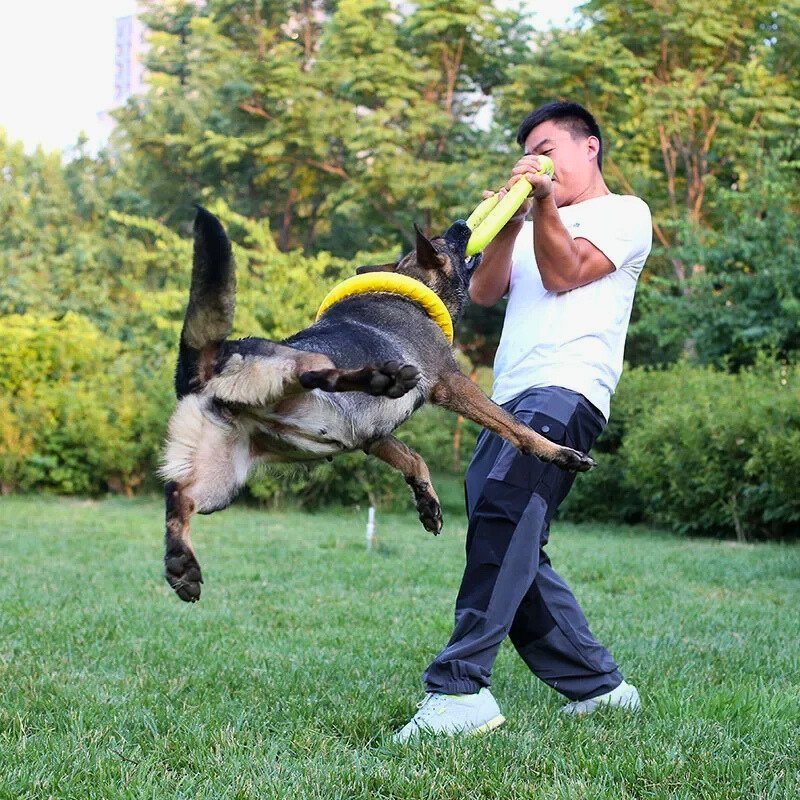 Jouet pour chien indestructible | Anneau - Les Plaisirs Canins