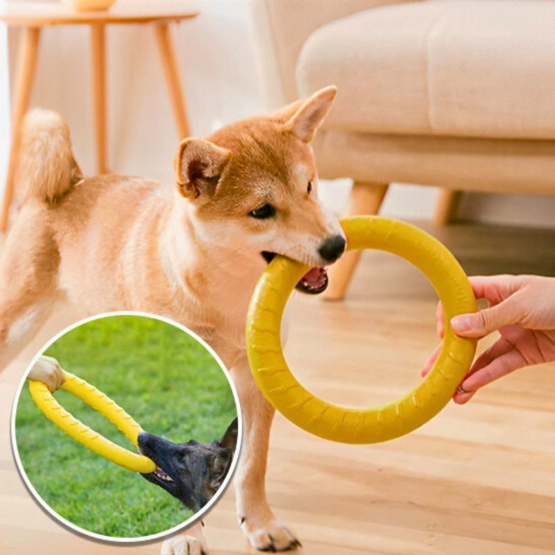 Jouet pour chien indestructible | Anneau - Les Plaisirs Canins