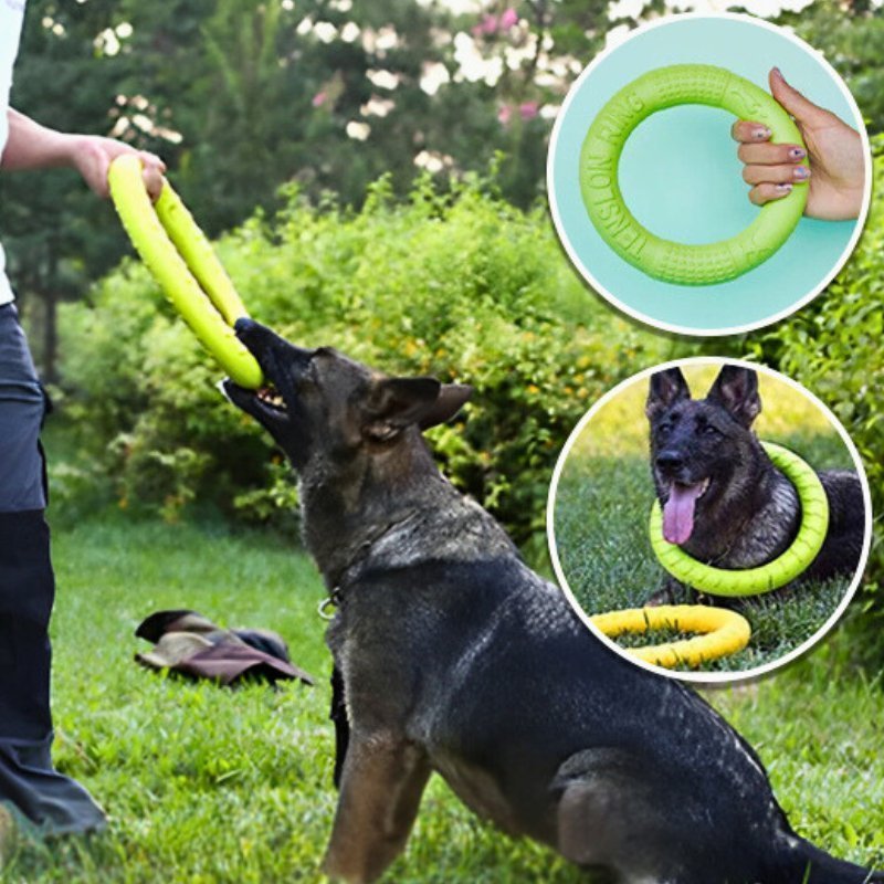 Jouet pour chien indestructible | Anneau - Les Plaisirs Canins