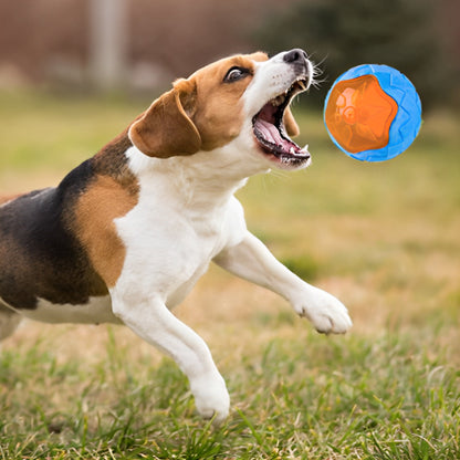 Beagle jouant dehors et attrapant un jouet pour chien indestructible en forme de balle