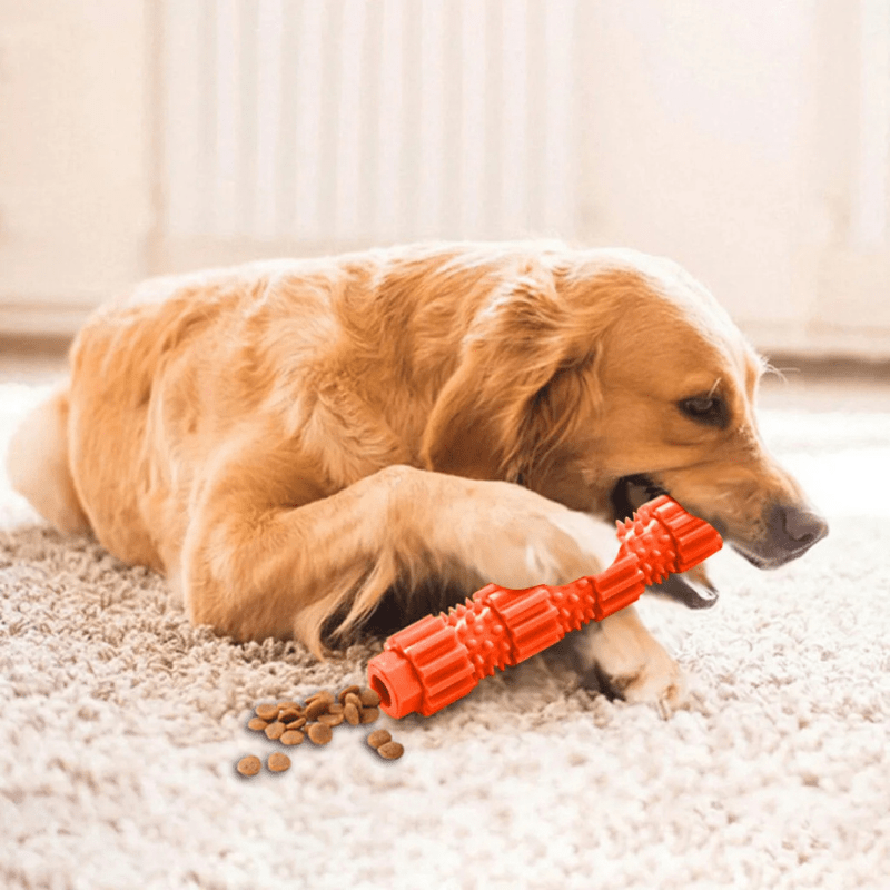 golden-qui-mâche-son-jouet-indestructible-pour-chien-orange