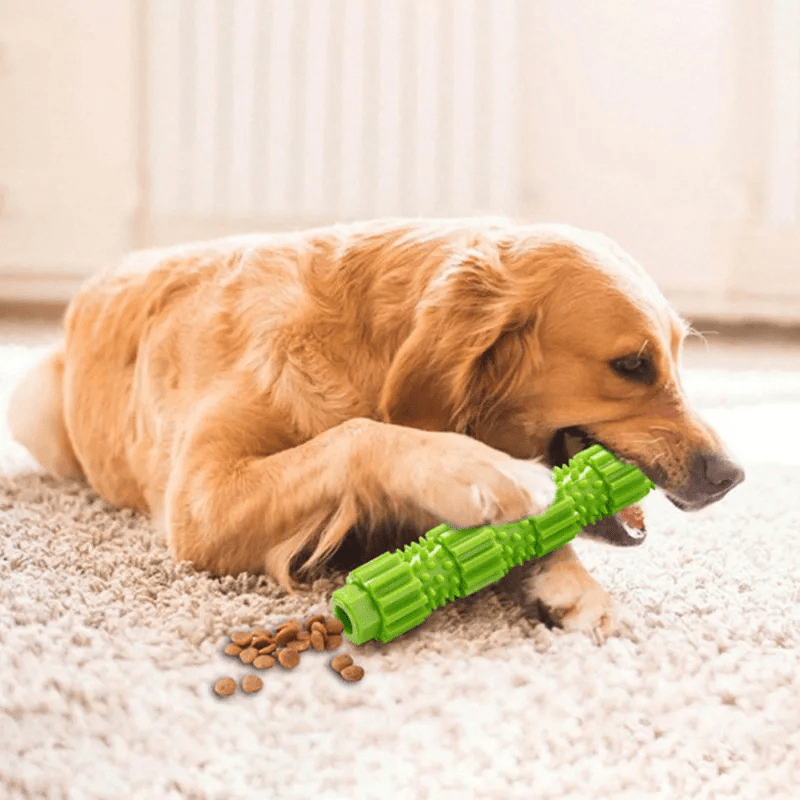 golden-qui-mâche-son-jouet-indestructible-pour-chien-vert