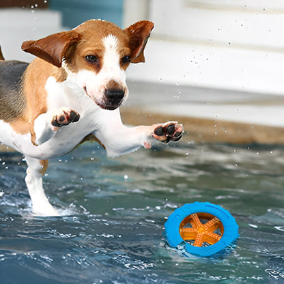 Beagle sautant dans l’eau pour attraper un jouet pour chien indestructible bleu et orange flottant