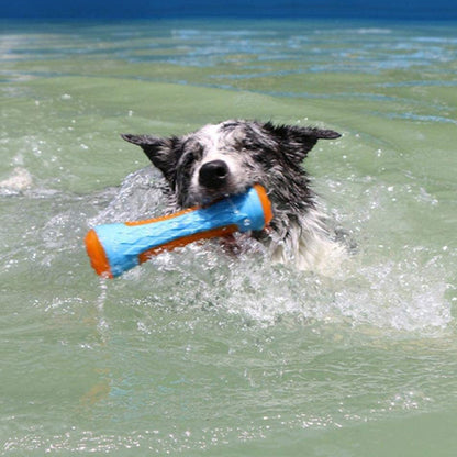 Border Collie nageant dans l’eau avec un jouet pour chien indestructible orange et bleu dans la gueule