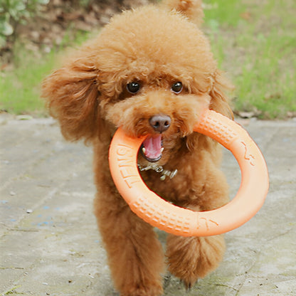 Petit caniche heureux avec un jouet pour chien indestructible en anneau orange dans la bouche