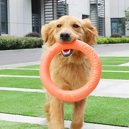 Golden Retriever courant avec un jouet pour chien indestructible en anneau orange