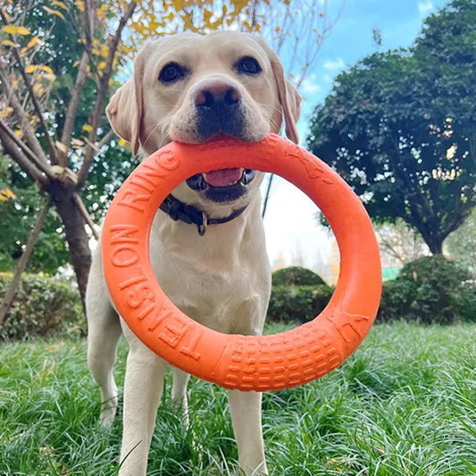 Labrador tenant un jouet pour chien indestructible en anneau orange dans le jardin