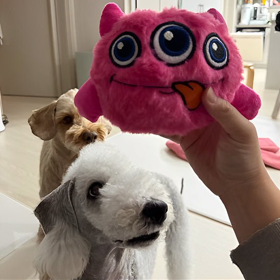 deux chien qui attendent leur jouet pour chien monstre rose