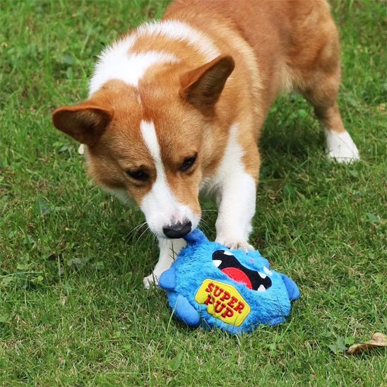 corgi-dehors-avec-jouet-pour-chien-monstre