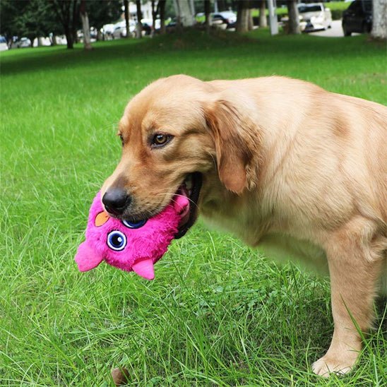 golden-retriever-dehors-avec-jouet-pour-chien-monstre