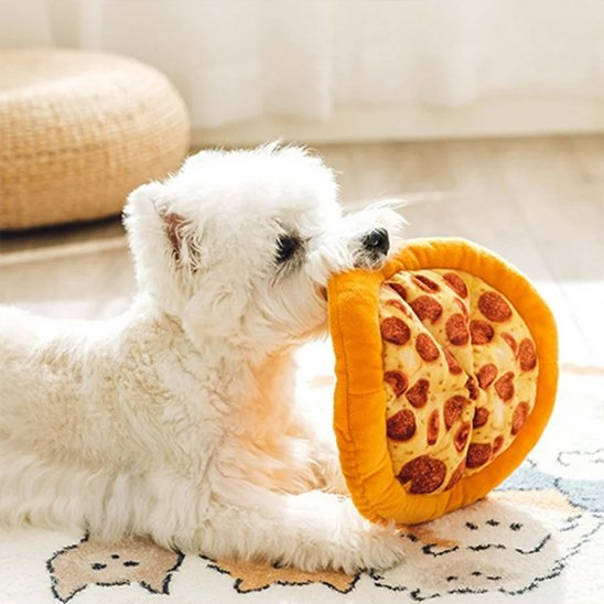bichon blanc avec un jouet pour chien dans sa bouche