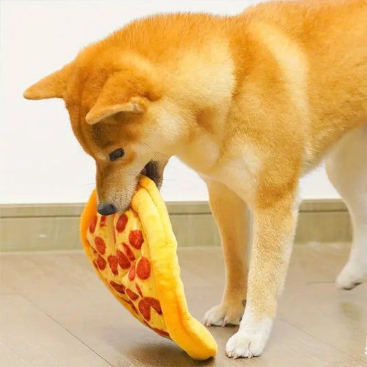 shiba inu qui joue avec sa pizza jouet pour chien