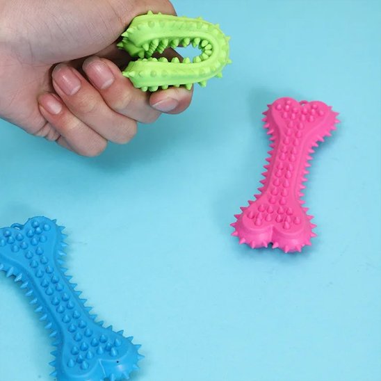 jouet pour chien vert dans la main et deux autres jouets bleu et rose