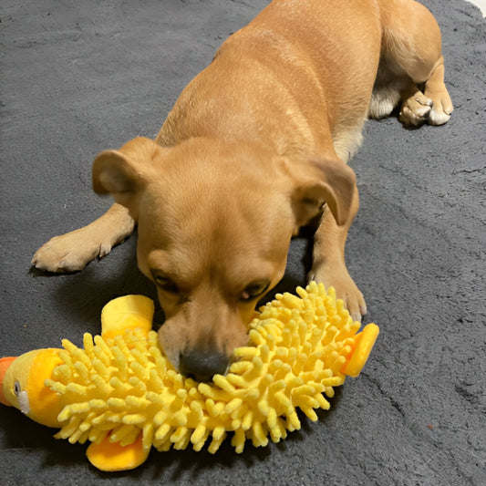 chiot allongé qui mordille un jouet pour chiot en forme de canard jaune en peluche