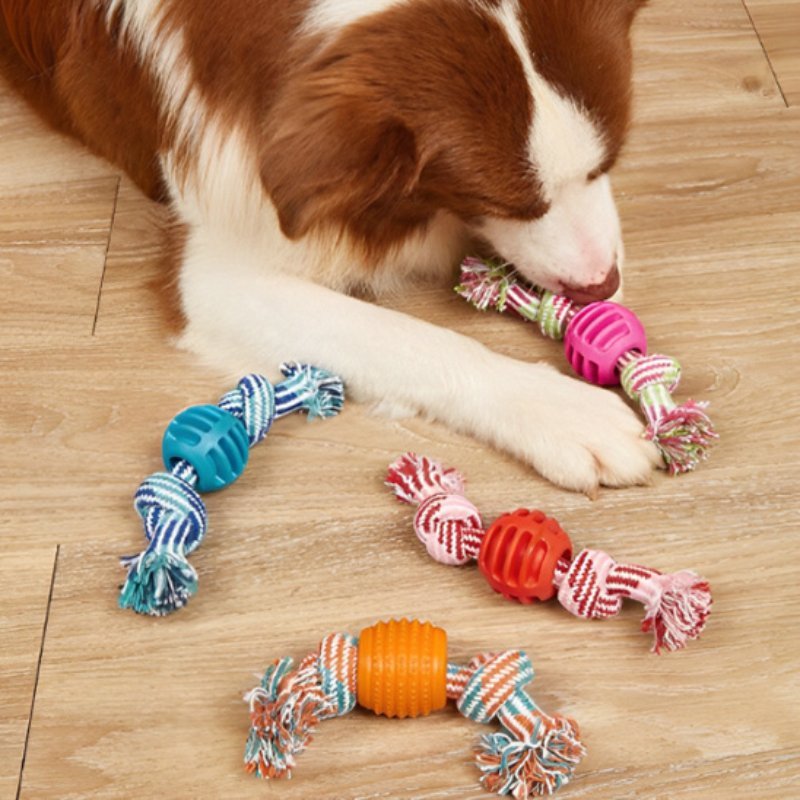 Jouet pour chiot quatre couleurs